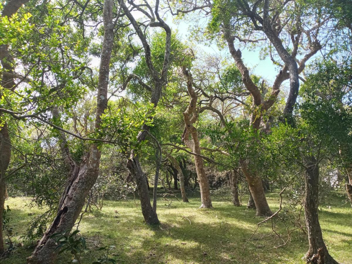 فيلا Casa De Campo Cerca Del Cabo Rincón de los Oliveras المظهر الخارجي الصورة